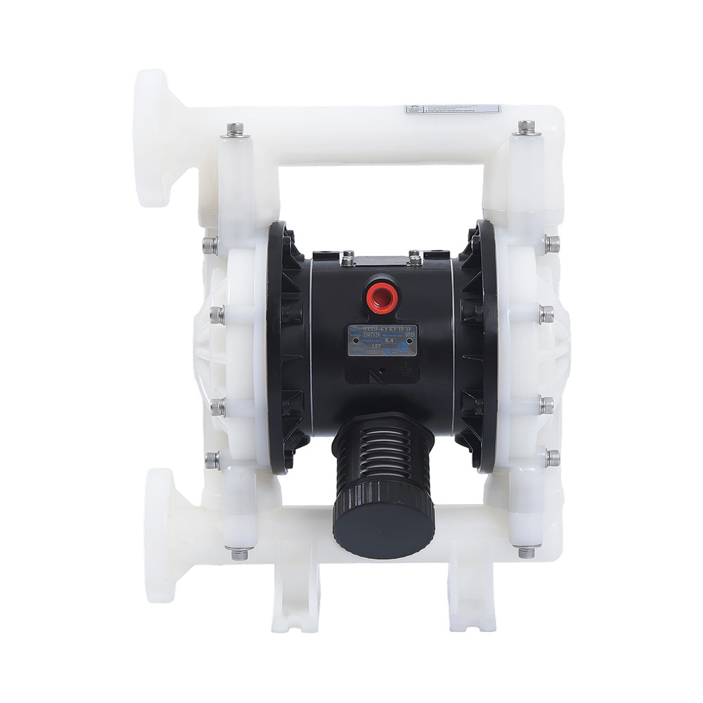 1" PVDF-membraanpomp